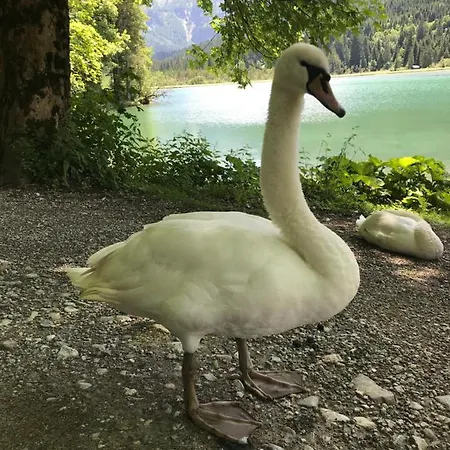 Lejlighed Haus Erika *