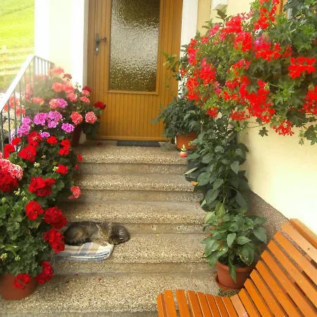Haus Erika شقة *