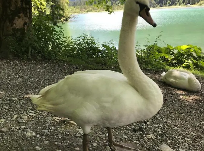 Appartement Haus Erika *