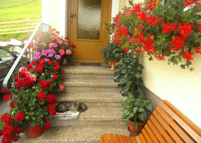 Haus Erika Appartement *